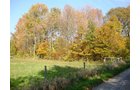 Property photo 6 - 145+/- Acres Offered in 6 Tracts Real Estate Auction